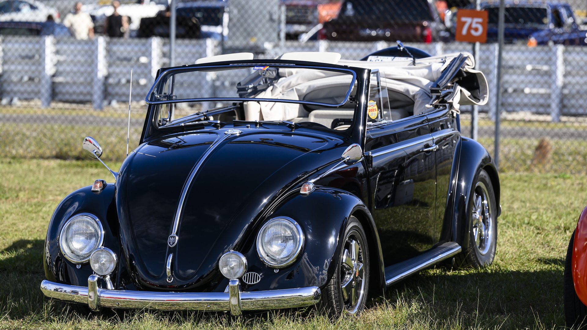Show cars at the Daytona Turkey Run®