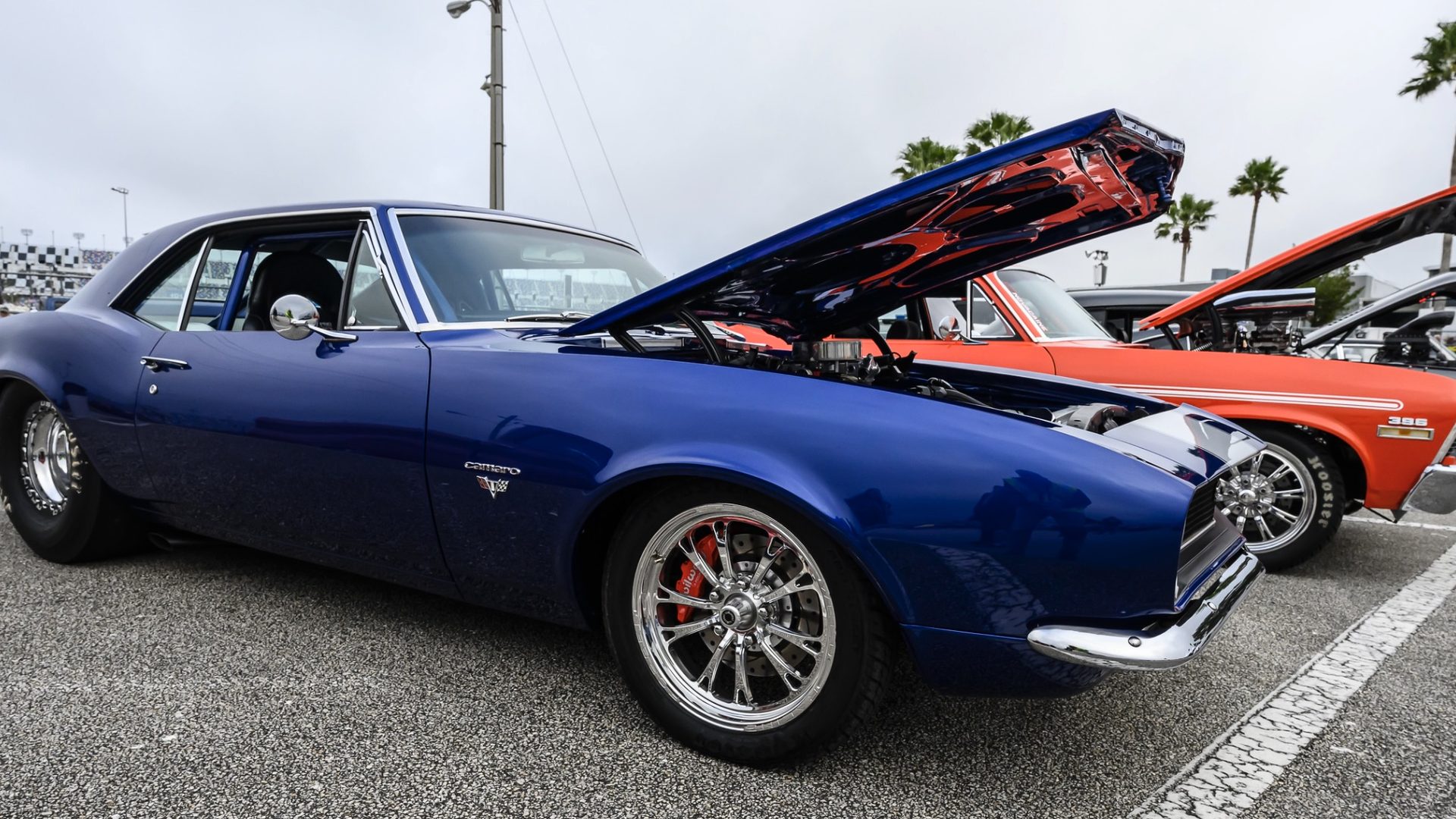 Show cars at the Daytona Turkey Run®