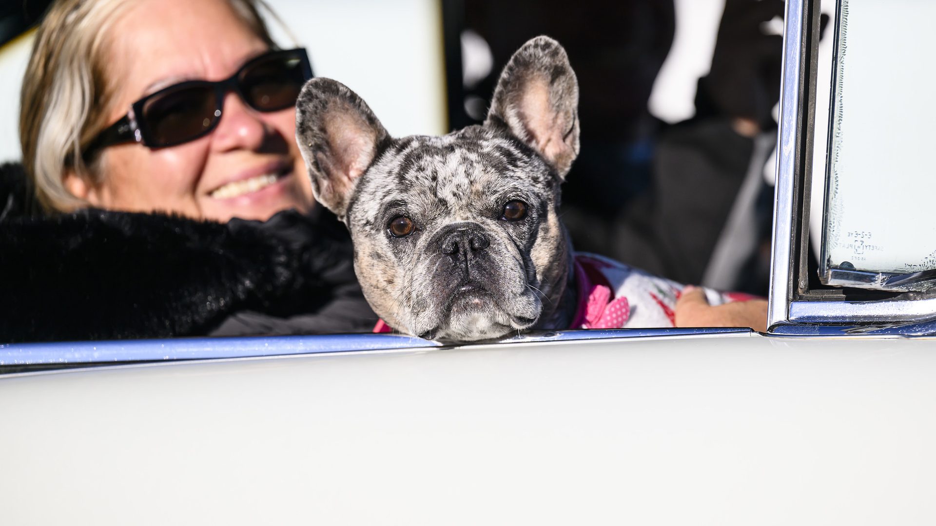 The Daytona Turkey Run®, up close